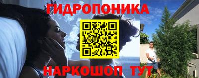 хмурый Свободный