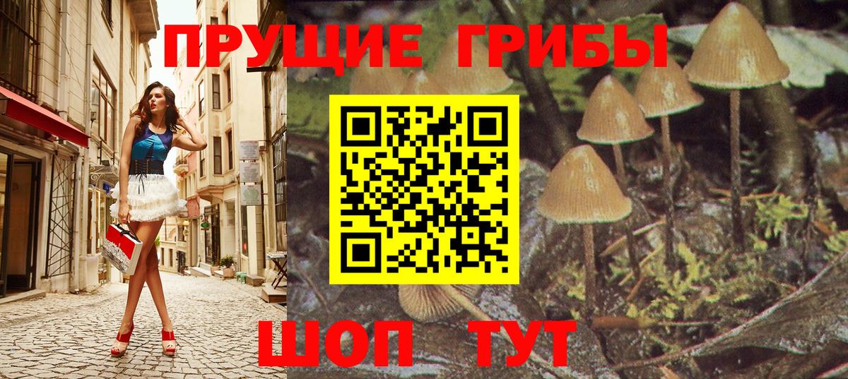 где купить наркоту  Вход с VPN  Орёл  Галлюциногенные грибы прущие грибы 
